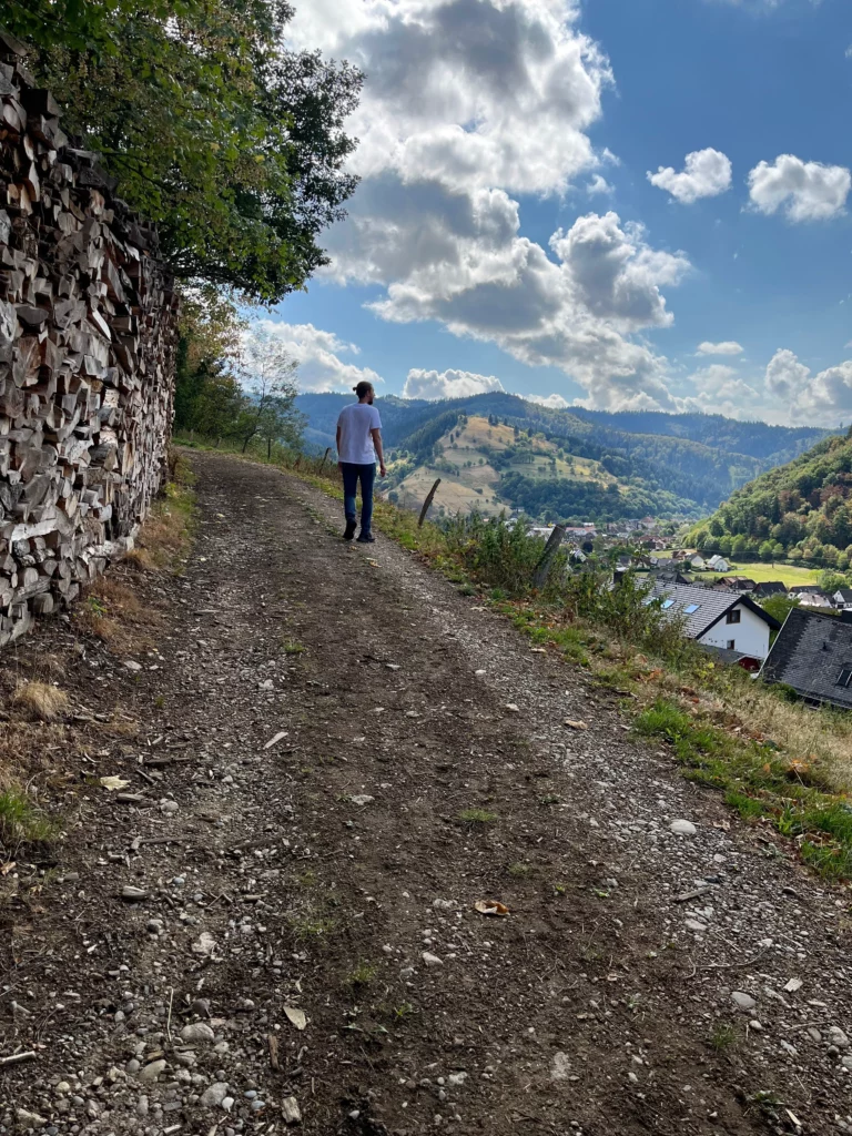 Niclas Reiber beim Wandern im Schwarzwald, mit fokussiertem Blick in die Ferne